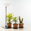 Expandable Grow Light for Indoor Plants