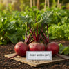 Beet root ruby queen seeds