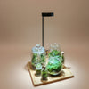 Terrarium Warm White 3W LED Light – Round Acrylic Base