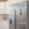 Terrarium fridge magnet