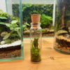 Terrarium fridge magnet
