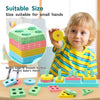 Channapatna Montessori Wooden Sorting & Stacking Toy | Educational Puzzle Set